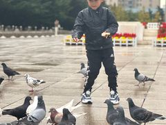 -大连人民广场