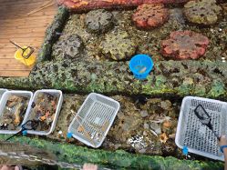 -钓虾工场·钓虾·赶海(回龙观店)