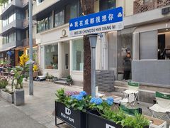 -泡桐树街
