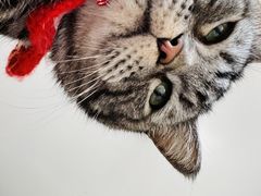 -平行世界·猫咖(首经贸店)
