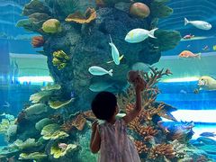 -福州罗源湾海洋世界旅游区