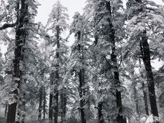 -瓦屋山景区