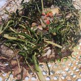 本帮菜[鼓掌][鼓掌][鼓掌][亲亲][亲亲][亲亲]