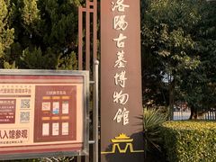 -洛阳古墓博物馆