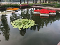 -圩墩遗址公园
