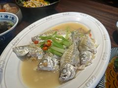 -MR鹅外