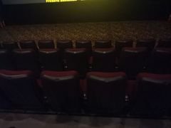 -嘉华国际影城(学清路店)