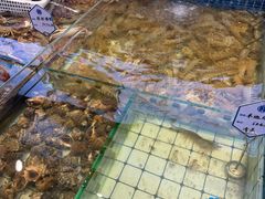 -大锅强·蒸海鲜青岛菜(金沙滩店)