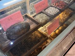 -梧州双钱龟苓膏(丽港航母店)