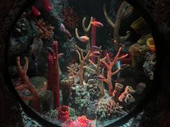 -沈阳海洋探索中心