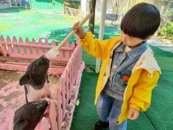 -萌宠亲子动物乐园(槐房万达店)