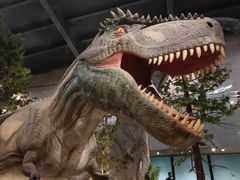 -湖南省地质博物馆