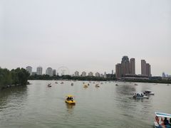 -天津水上公园