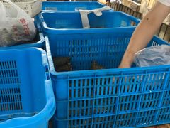 -金太粽(上海弄堂第一粽店)