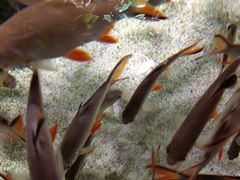 -多彩贵州城极地海洋世界