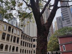-大馆(前中区警署建築群)