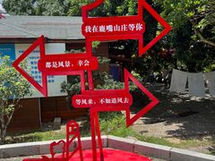 -鹿嘴山庄
