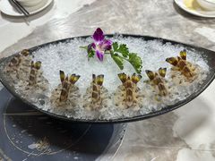 花竹虾刺身-富来美食