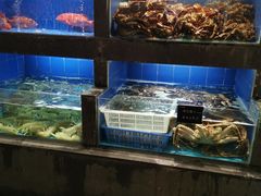 水产区-徐记海鲜(陕西历史博物馆|明德门店)