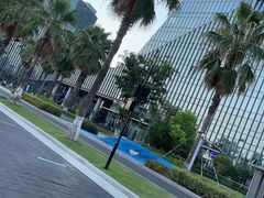 -金沙湖公园