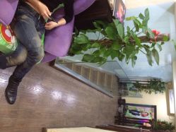 -SH名剪坊.造型设计