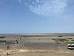 -启东黄金海滩景区
