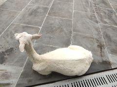 -金沙遗址博物馆