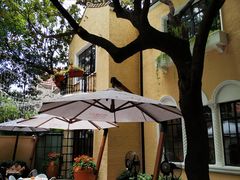 -玫瑰厅上海菜(兴国路店)