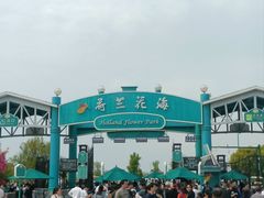 -荷兰花海