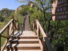 -大岭沟猕猴桃谷风景区