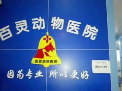 -百灵动物医院