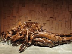 -乐山乌木文化博览苑