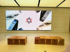 -Apple零售店(玄武湖店)