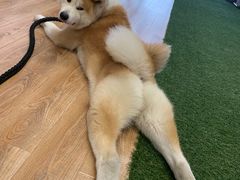 -YCHL Studios健身工作室(市二宫店)