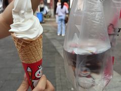 -蜜雪冰城(托乐嘉店)