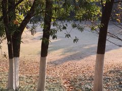 -环城公园-琥珀潭