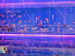 -大润发(康桥店)