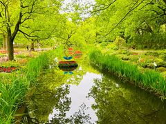 -上海共青森林公园