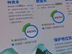 -鄱阳湖国家湿地公园