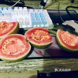 芭乐葡萄伏特加～（一个人也要好好喝酒）