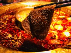 川门毛肚七绝-哥老官重庆美蛙鱼头(西湖银泰十一哥店)