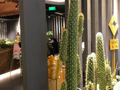 -半悦牛排(龙湖西宸天街店)