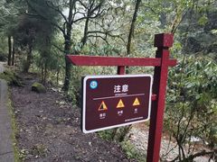 -西岭雪山大飞水景区