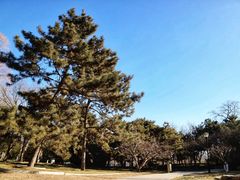 -玲珑塔公园