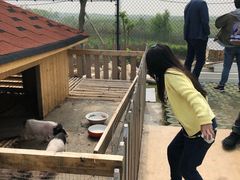 -上海崇明金茂凯悦酒店