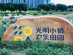 -光明小镇欢乐田园