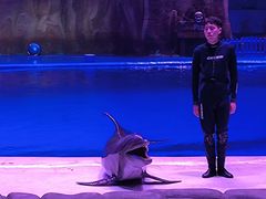 -华夏文旅海洋公园