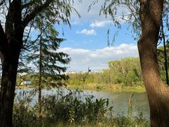 -昆山城市生态森林公园