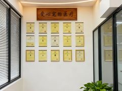-美联众合动物医院·24h转诊中心
