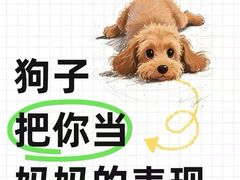 -瑞派天使宠物医院·神经外科·骨科·核磁(洛川中路店)